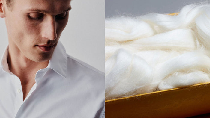 how-to-care-for-cotton